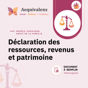 déclaration des ressources, revenus et patrimoine aequivalens